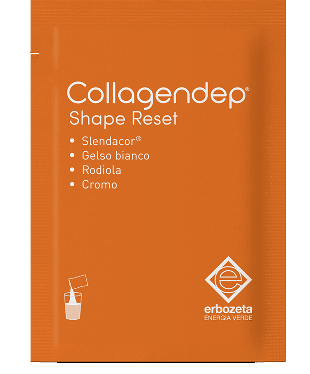 Shape Reset Bustina